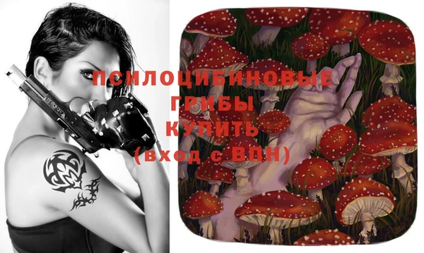 дмт Алзамай