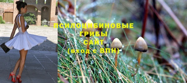 дмт Алзамай
