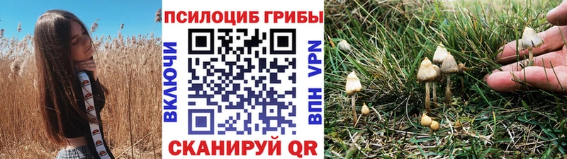 Псилоцибиновые грибы мицелий  Болгар 
